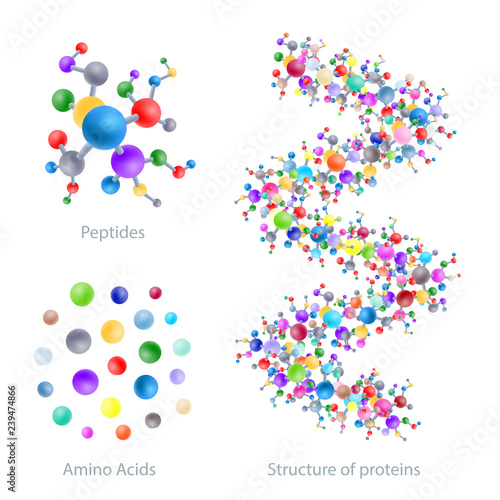 Structure of protein, peptides, amino acids, vector photo