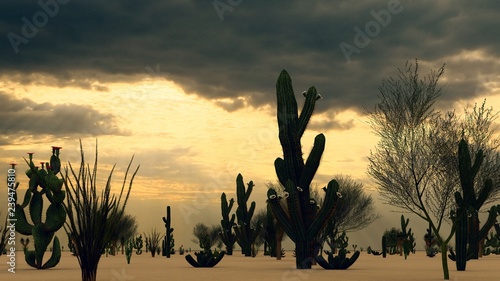 Sunset in the Desert with Cacti 3d rendering photo