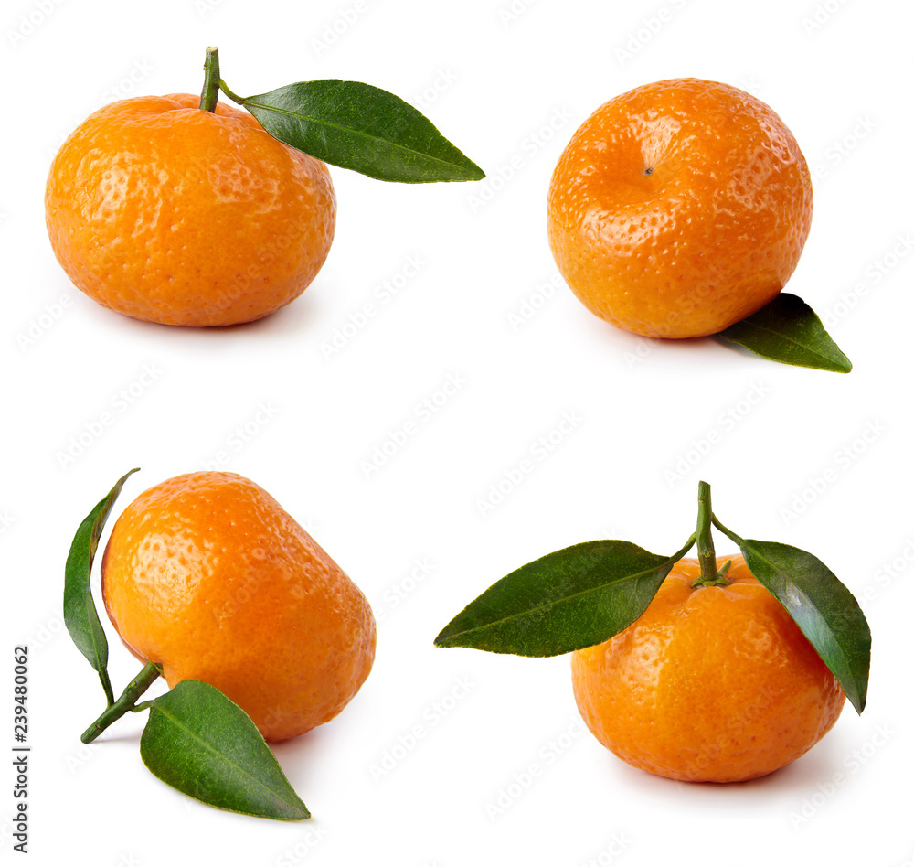 A set of tangerines with leaves isolated on white background. A set of tangerines with leaves isolated on white background.