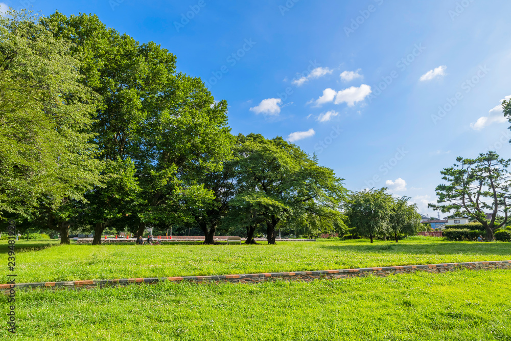 Obraz premium 国分寺市 武蔵国分寺跡