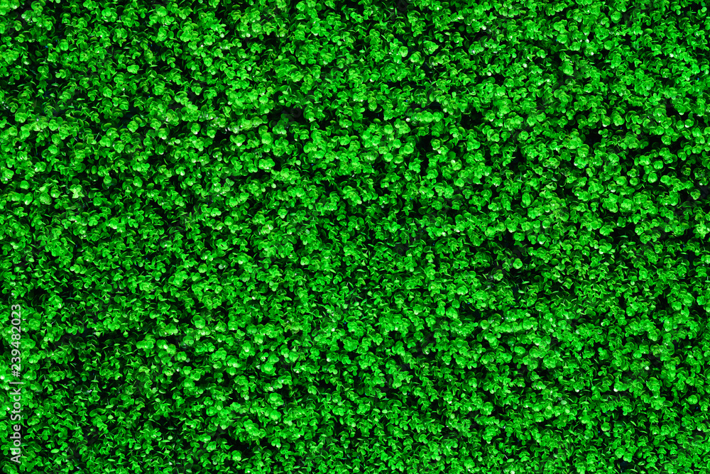 Artificial green leaves for background. Artificial green leaves for background.