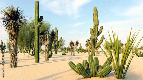 Sunset in the Desert with Cacti 3d rendering photo