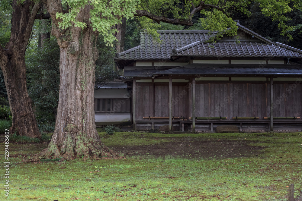 wooden house in Japanese garden wooden house in Japanese garden