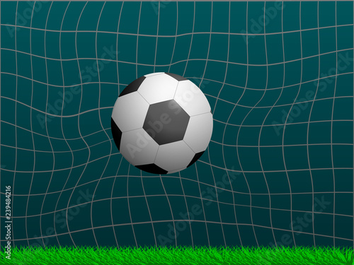 Soccer ball in the goal.Front view.