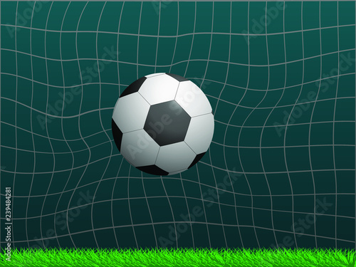 Soccer ball in the goal.Front view.Vector illustration 