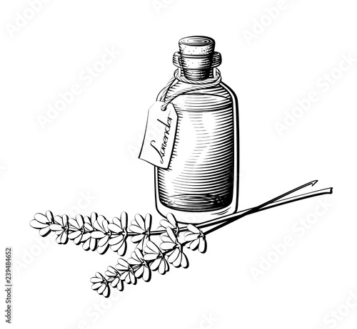 Lavender oil bottle illustration. Essential oil glass bottle in black and white.