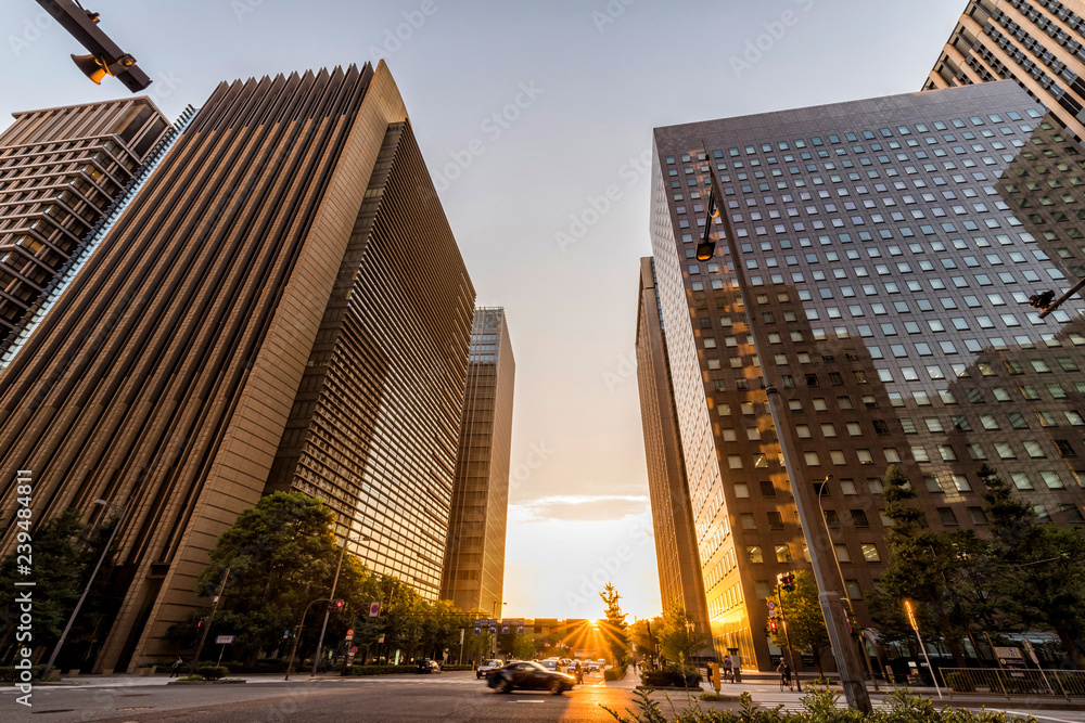 Fototapeta premium 大手町ビジネス街の夕景