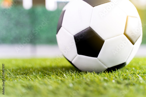 Football ball on green grass field background.