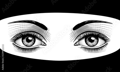 Beautiful woman wearing niqab with hijab. Women's  eyes with perfect eyebrowes and full lashes. Vintage engraving stylized drawing. Vector illustration