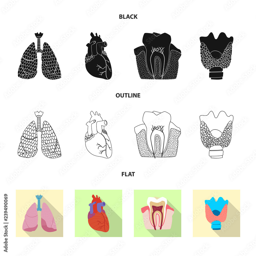 Fototapeta premium Isolated object of body and human logo. Set of body and medical stock symbol for web.