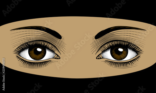 Beautiful woman wearing niqab with hijab. Women's  eyes with perfect eyebrowes and full lashes. Vintage engraving stylized drawing. Vector illustration