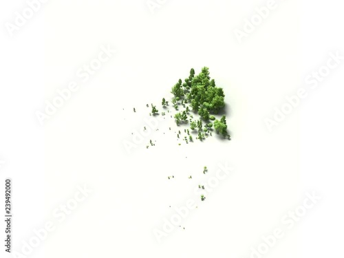 forest in New Zealand map shape (ID: 239492000)