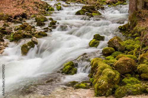 beautiful small river and rocks full of moss