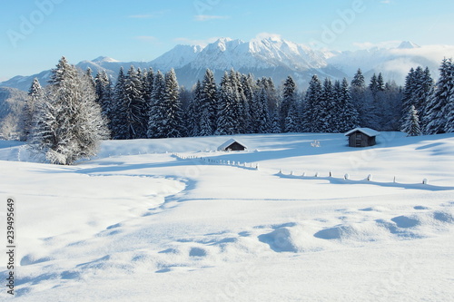winter wonderland with snowy trees in the Alps of Austria