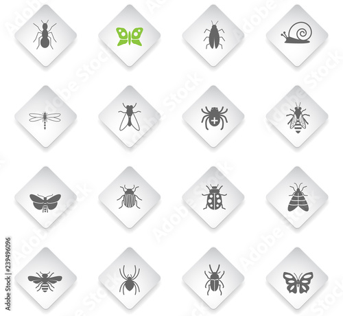 insects icon set