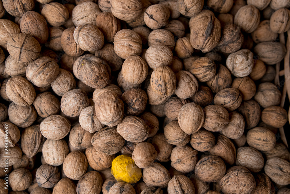 Walnuts with and without shells (filling the picture). Background of fresh walnuts. Walnuts with and without shells (filling the picture). Background of fresh walnuts.