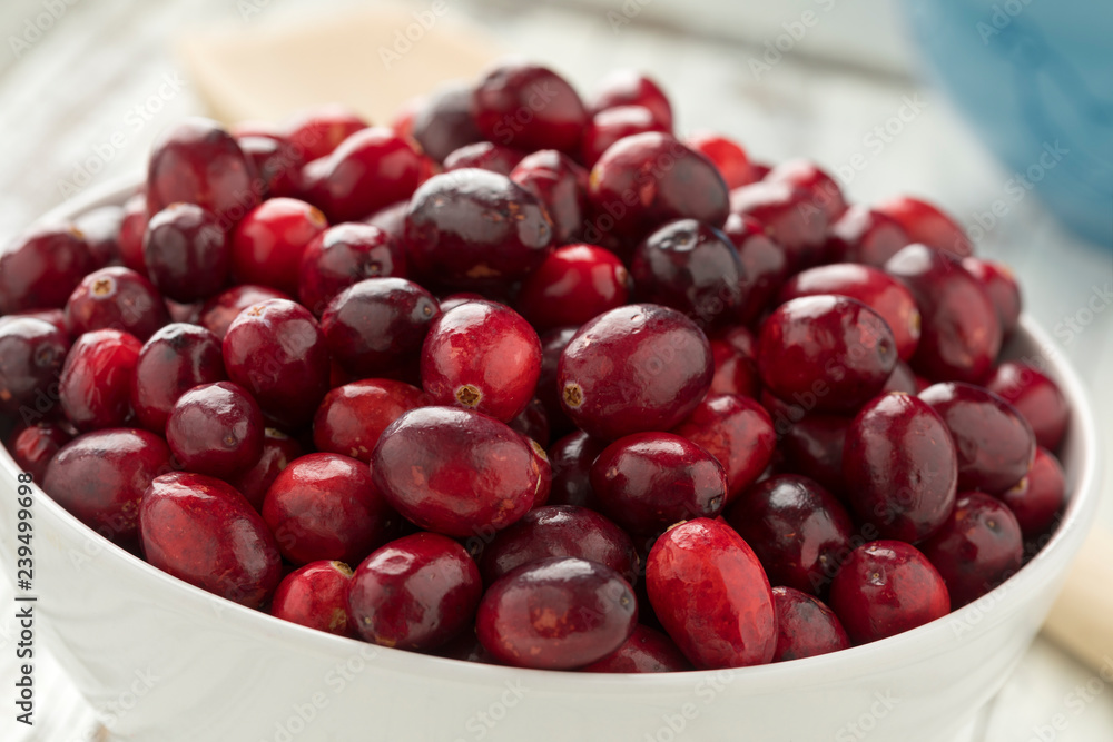Bowl with fresh ripe cranberries Bowl with fresh ripe cranberries