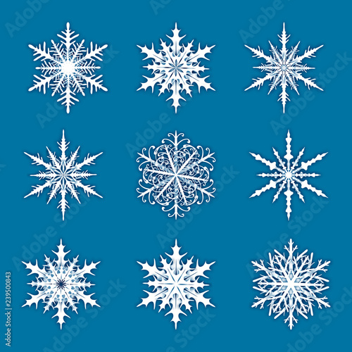 Vector illustration with set of snowflakes on blue background