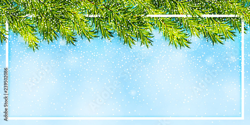 Winter background with christmas tree branches and snowfall vector