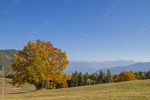 Goldener Oktober im Monte Bondonegebirge