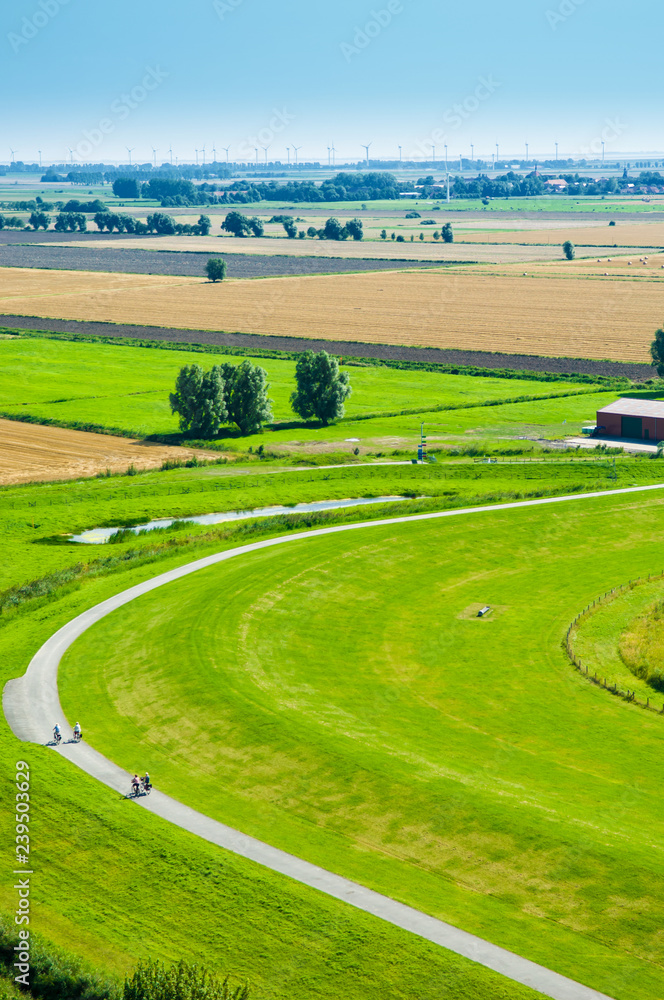 Obraz premium weites grünes Feld
