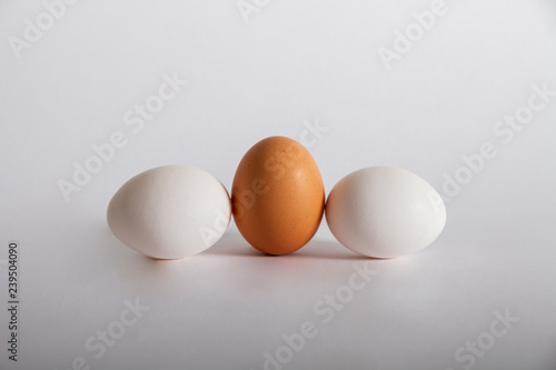 ei kompossiton drei eier