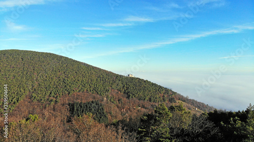 Palatinate forest with the Hambach castle in the background