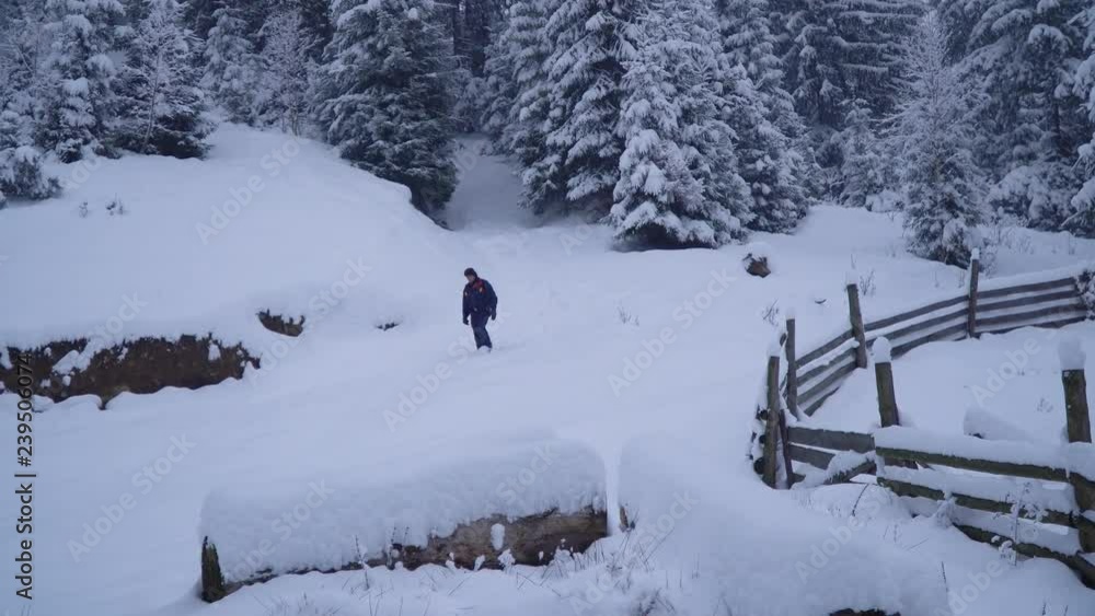 A young man walks alone through a snowy forest. Young pretty tourist sneaks through the snow drifts. He looks around him. He is lost and anxious. Snowfall. Evening forest. A young man walks alone through a snowy forest. Young pretty tourist sneaks through the snow drifts. He looks around him. He is lost and anxious. Snowfall. Evening forest.