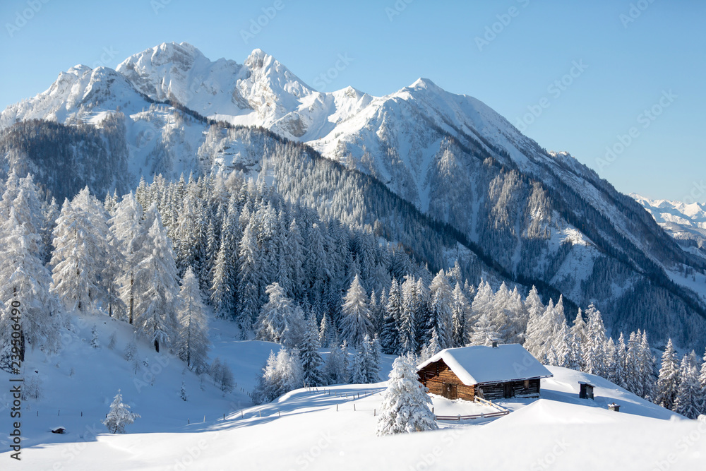Beautiful winter landscape with snowy forest and traditional alpine chalet. Sunny frosty weather with clear blue sky