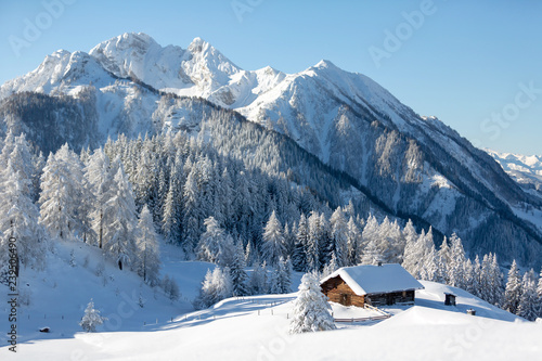 Beautiful winter landscape with snowy forest and traditional alpine chalet. Sunny frosty weather with clear blue sky © Olha Sydorenko