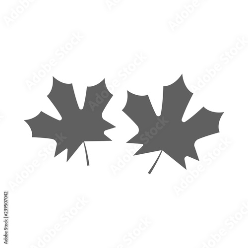 Natural leaves icons. Leaf vector icon for bio badge