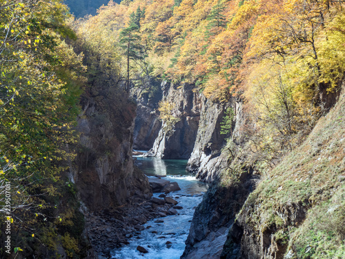 Granite canyon of the Belaya river, Adygeya photo