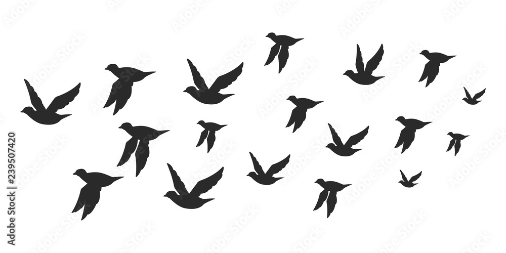 Flock of doves or pigeons black silhouette in flying. Vector flat illustration of bird migration isolated on white background. Flock of doves or pigeons black silhouette in flying. Vector flat illustration of bird migration isolated on white background.