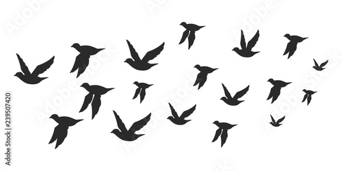 Flock of doves or pigeons black silhouette in flying. Vector flat illustration of bird migration isolated on white background. © Roi_and_Roi