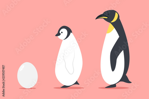 Penguin and egg vector cartoon flat animal illustration isolated on background.