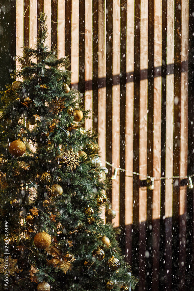 Obraz premium green Christmas tree decorated with Golden yellow cones ornaments near the brown wall