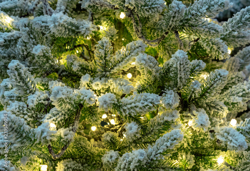 Snow-covered green Christmas tree with a garland.