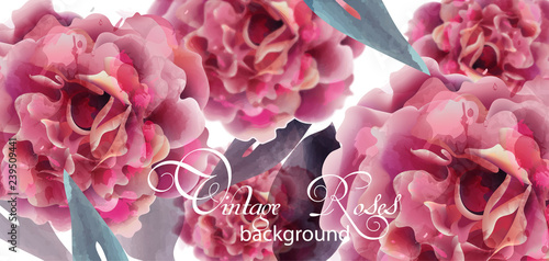 Pink roses watercolor background Vector. Invitation card, wedding ceremony, d...