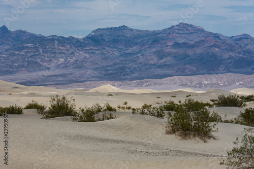 Mesquite Sand Dunes of Death Valley National Park in California in summer