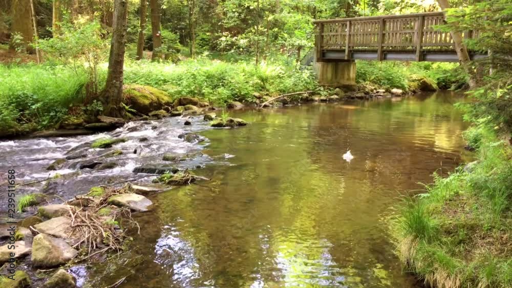 Wooden Bridge Over Mountain River In The Forest Wooden Bridge Over Mountain River In The Forest