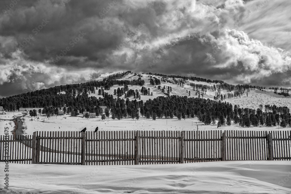 winter landscape in the mountains, high mountain in snow and clouds . in the foreground is a large snow retention fence. on the fence sit two ravens. black and white landscape