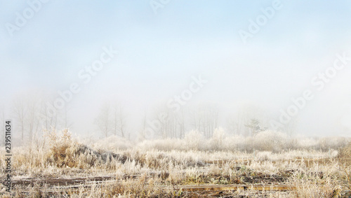 winter landscape fog in the morning and frost on trees and bushes. grass in white frost. a little blue sky