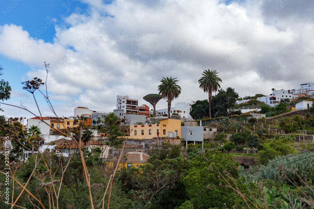 ICOD de los Vinos skyline, Tenerife, featuring famous Aincient Dragon Tree and palms