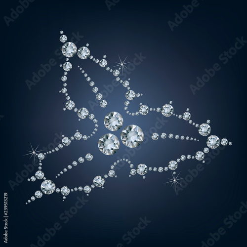 Holly leaves decoration with berries made a lot of diamonds