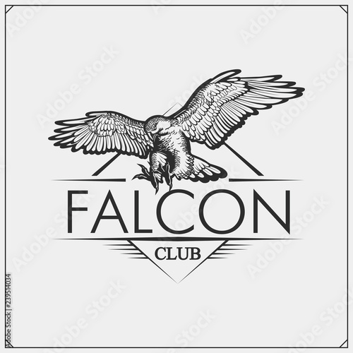 Sport club emblem with falcon head. Print design for t-shirts.