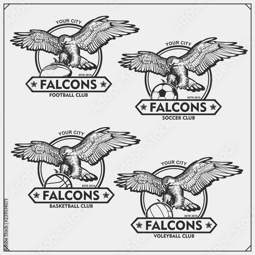 Volleyball, basketball, soccer and football logos and labels. Sport club emblems with falcon. Print design for t-shirts.