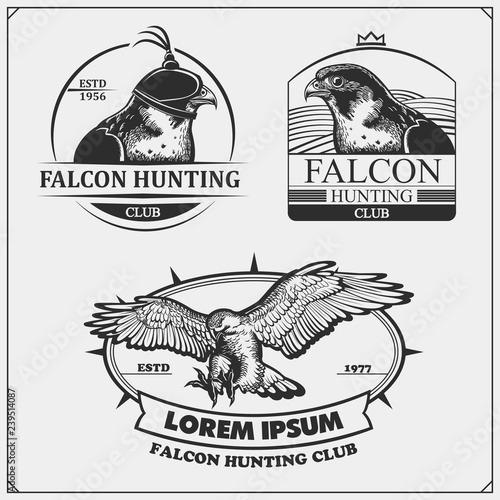 Falcon heraldry coat of arms. Labels, emblems and design elements for sport club. Print design for t-shirts.