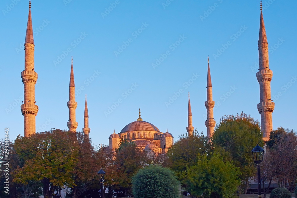 Fototapeta premium blue mosque in istanbul