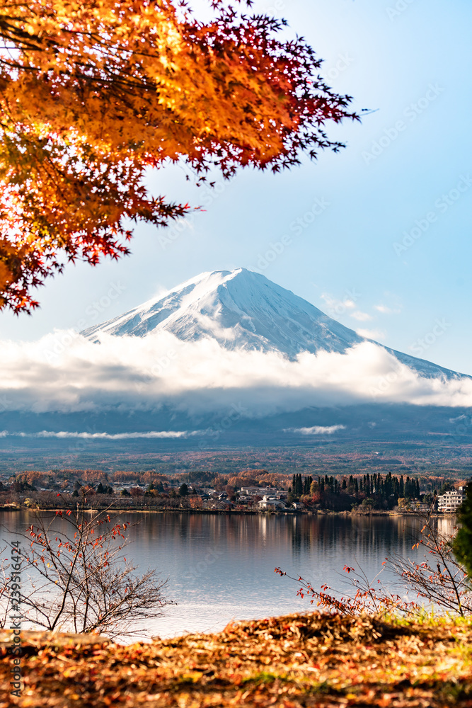 Mountain Fuji in autumn at Lake kawaguchiko in japan.