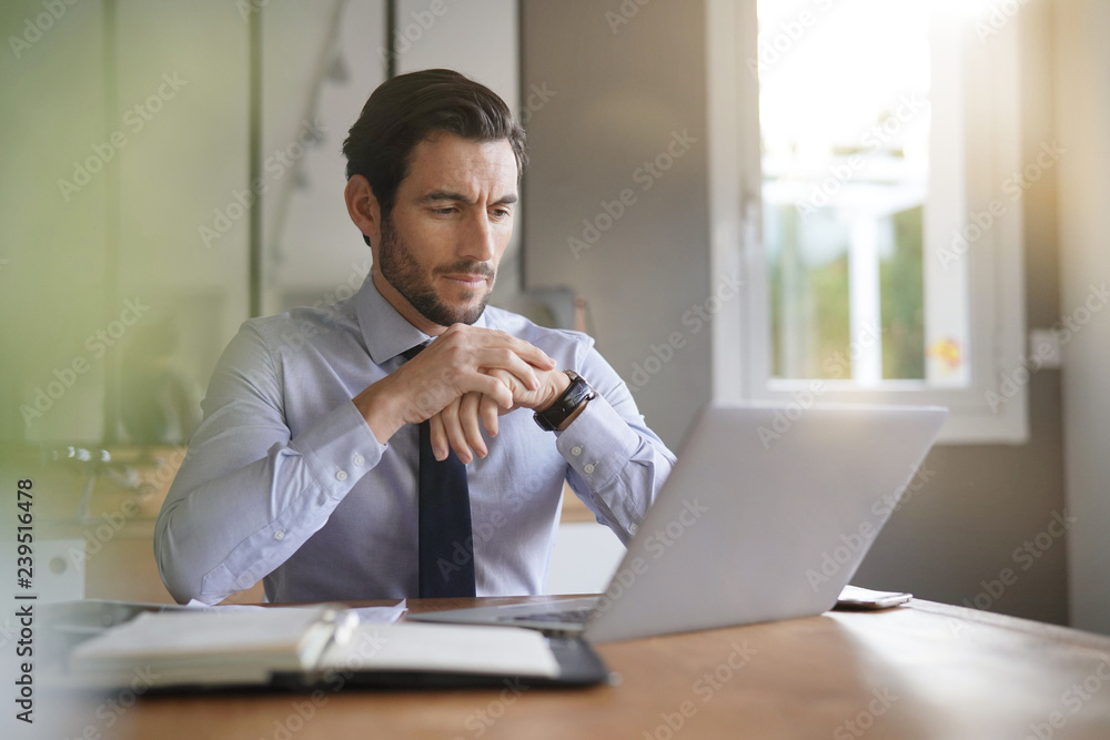 Handsome businessman working on laptop in modern office Handsome businessman working on laptop in modern office